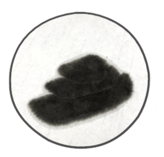 1643894148866105.png 1.png